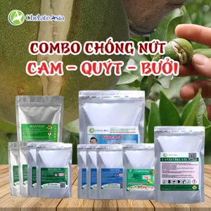 COMBO CHỐNG NỨT TRÁI CAM - QUÝT - BƯỞI