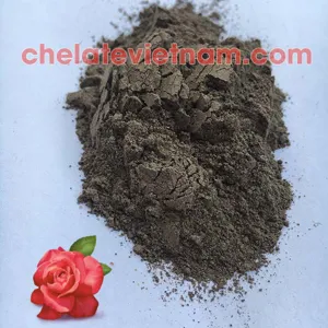 Trichoderma BIO FA (bổ sung Bacillus spp, Azotobacter spp, Pseudomonas spp, Streptomyces spp)