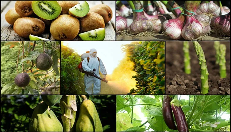 Tuân thủ các nguyên tắc trong kết hợp phân bón để đạt được hiệu quả cao khi sử dụng