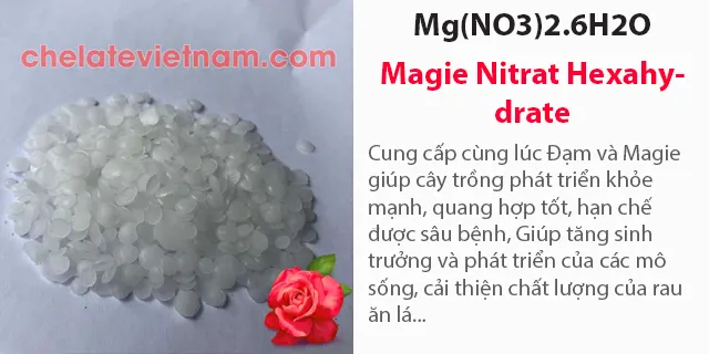 Bán Mg(NO3)2.6H2O (Magie Nitrat Hexahydrate)