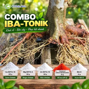 COMBO IBA-TONIK – Bộ nguyên liệu hỗ trợ tạo rễ và phục hồi sinh trưởng