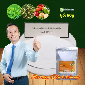 Gibberellic Acid 90% (GA3) nguyên chất
