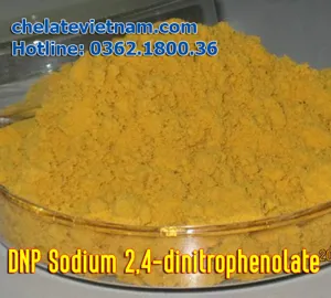DNP Sodium 2,4-dinitrophenolate (Natri 2,4-dinitrophenate) Hóa chất gốc, nguyên liệu sản xuất phân bón