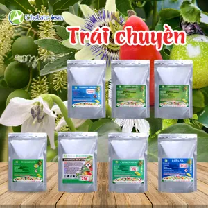 COMBO CÂY TRÁI CHUYỀN: Nuôi hoa khỏe, dưỡng trái non chắc, hỗ trợ chồi hoa phát triển