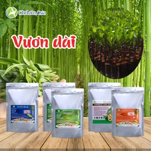 COMBO VƯƠN DÀI: Giải pháp kích thích rễ mạnh – thân dài – lóng vươn nhanh
