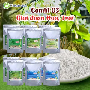 COMBO COMBI 03: Vi lượng giai đoạn hoa, trái