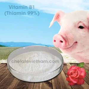 Vitamin B1 (Thiamin 99%) nguyên chất (Tăng sinh trưởng cây trồng, vật nuôi)