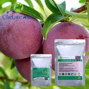 Cytokinin CPPU KT-30 2% (Tăng kích thước trái cây) Forchlorfenuron