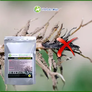 BIO-DVS (Bacillus + streptomyces) chế phẩm sinh học bảo vệ rễ, phòng bệnh, tăng sức đề kháng cho cây trồng