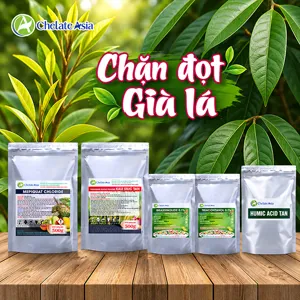 (Mepi) COMBO CHẶN ĐỌT, MỞ LÁ – Ổn định sinh trưởng, đứng đọt, xanh lá, già lá, cứng cây