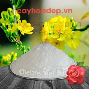 Chlormequat clorua, Cycocel CCC  98% (Ức chế sinh trưởng, tạo dáng hoàn hảo)