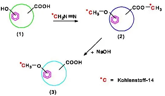 Biểu đồ minh họa việc xác định phóng xạ của các nhóm chức năng axit humic