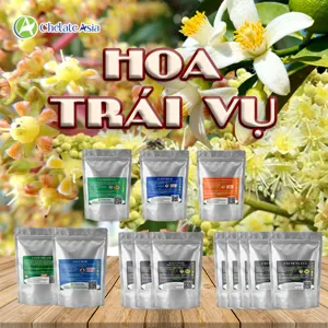 (01) COMBO KÍCH THÍCH RA HOA TRÁI VỤ: Chặn đọt, ép cây phân hóa mầm hoa