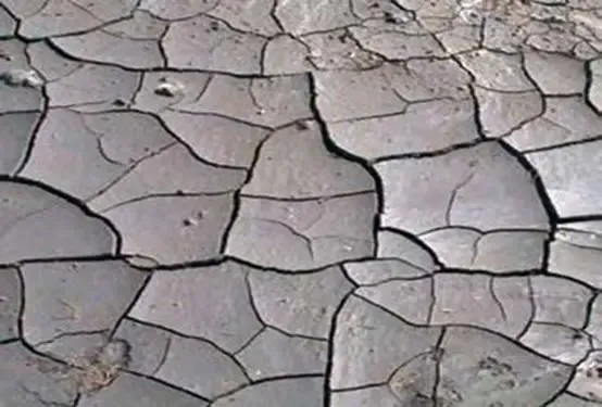 Đất sét nén chặt không có chất humic. (Copyright © Humintech 2018)