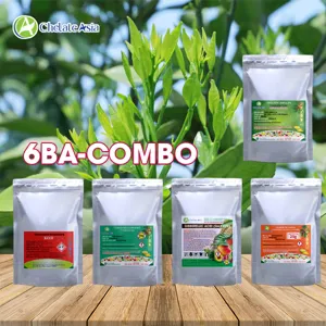 COMBO 6BA-C: Kích chồi mạnh, bung đọt đều, phát triển tán vượt trội