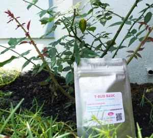 T-BUD BASIC cytokinin synthetic (Hóa chất cơ bản kích chồi cây)