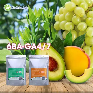 COMBO 6BA-GA4/7 Kích chồi, kéo trái, tăng tỷ lệ đậu, cải thiện hình dạng quả