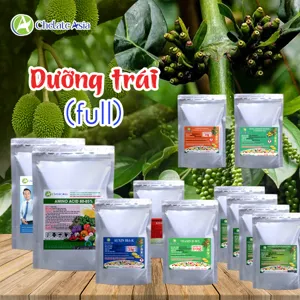 COMBO DƯỠNG TRÁI (Full): Trái lớn, đẹp mã, tránh rụng sớm